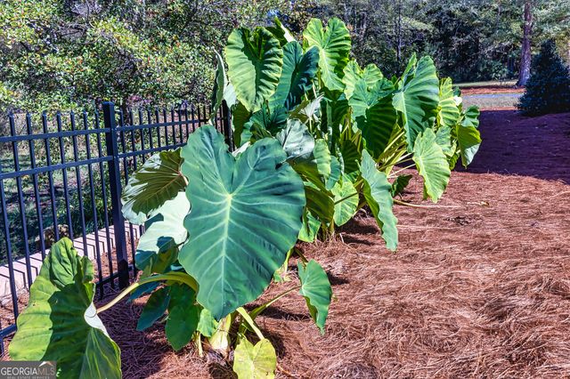 242 Kirkley Road, Tyrone, GA 30290