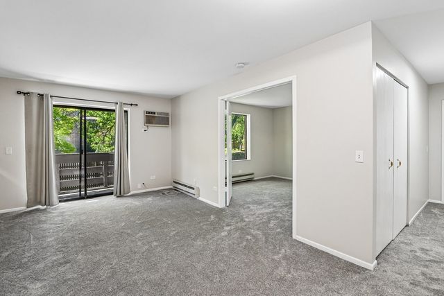 1319 N Winslowe Drive 203, Palatine, IL 60074