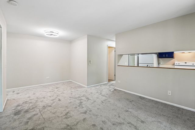 1319 N Winslowe Drive 203, Palatine, IL 60074
