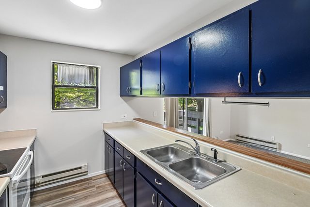1319 N Winslowe Drive 203, Palatine, IL 60074