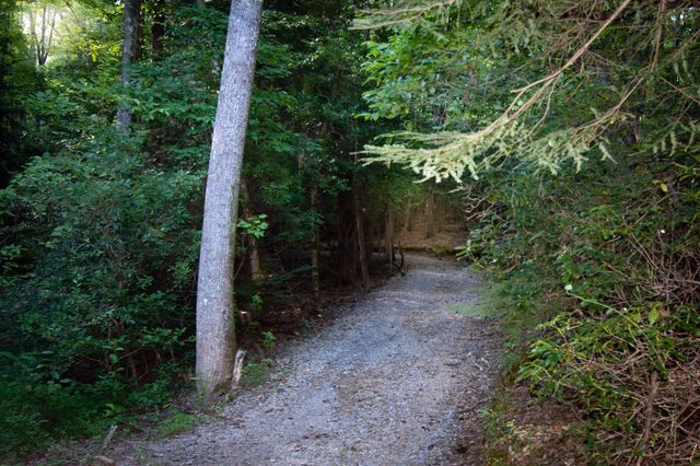 292 Log Cabin Lane, Dunlap, TN 37327
