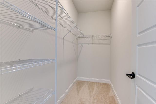 5208 Perennial Run, Beech Island, SC 29842