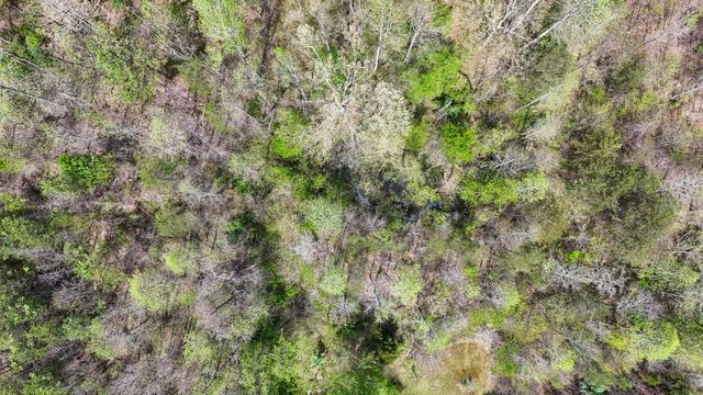 2578 Little Indian Creek Road, Woodbine, KY 40771