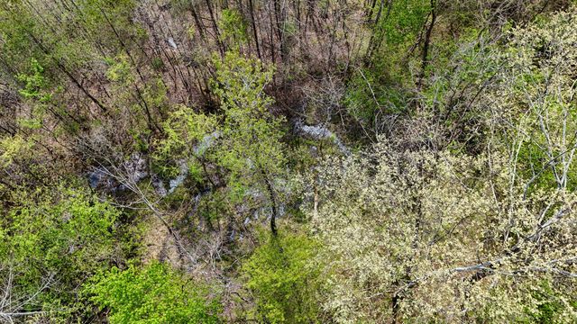 2578 Little Indian Creek Road, Woodbine, KY 40771