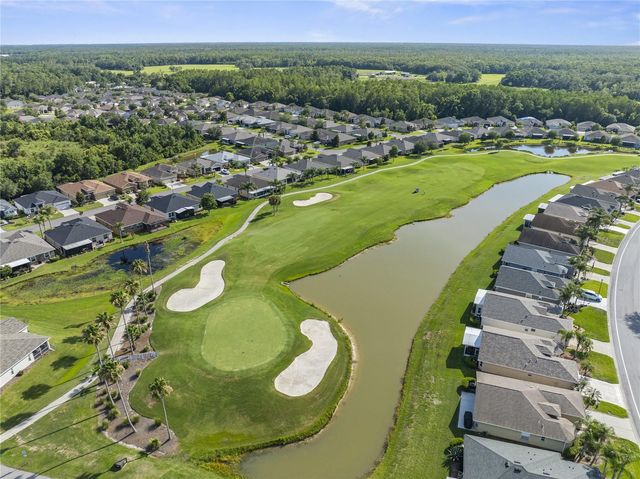 29255 GRASS BUNKER DRIVE, San Antonio, FL 33576
