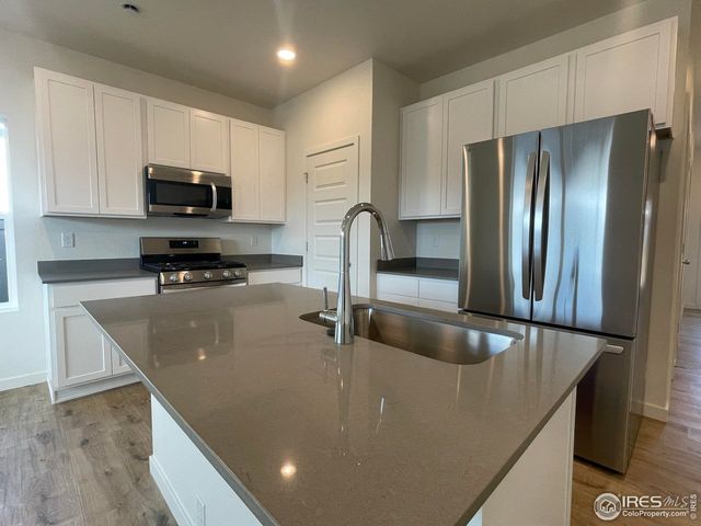 7136 Gateway Crossing St, Wellington, CO 80549