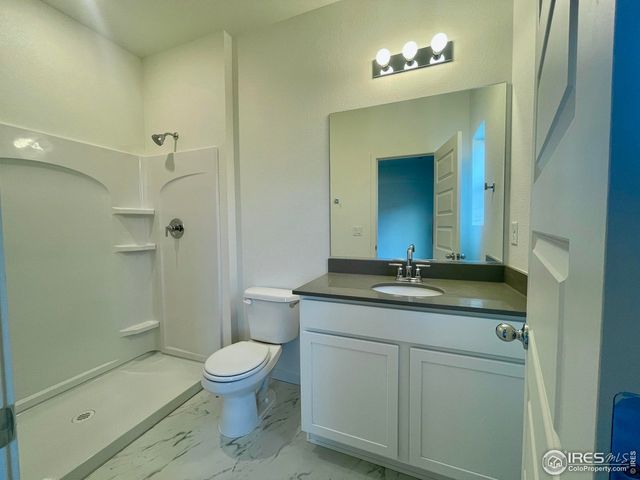 7136 Gateway Crossing St, Wellington, CO 80549