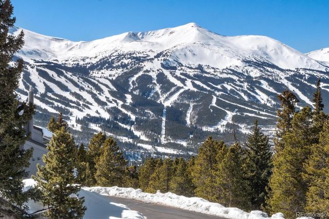 160 N Fuller Placer Road, Breckenridge, CO 80424