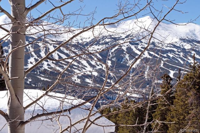 160 N Fuller Placer Road, Breckenridge, CO 80424