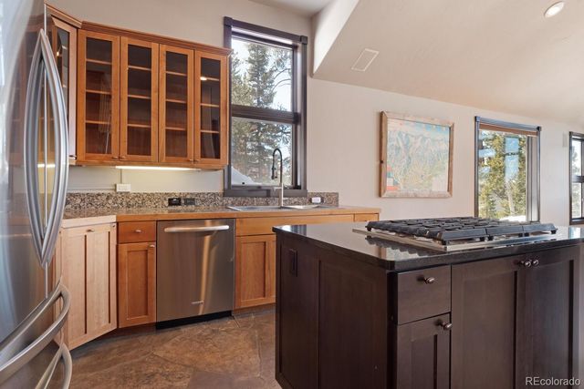 160 N Fuller Placer Road, Breckenridge, CO 80424