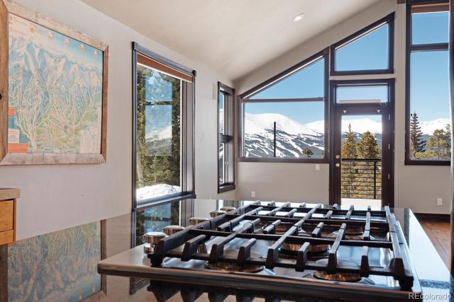 160 N Fuller Placer Road, Breckenridge, CO 80424