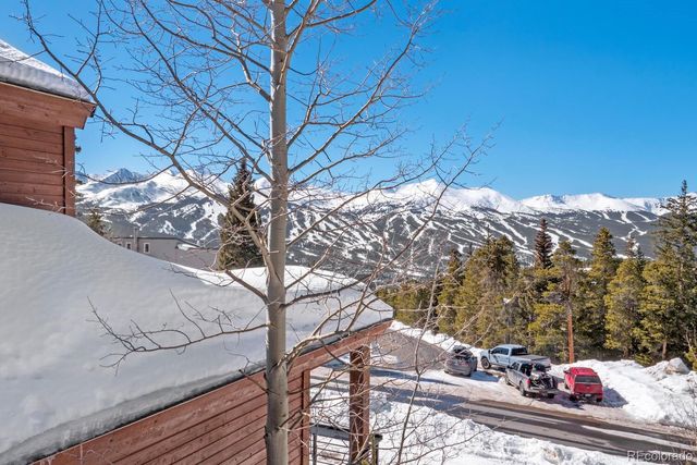 160 N Fuller Placer Road, Breckenridge, CO 80424