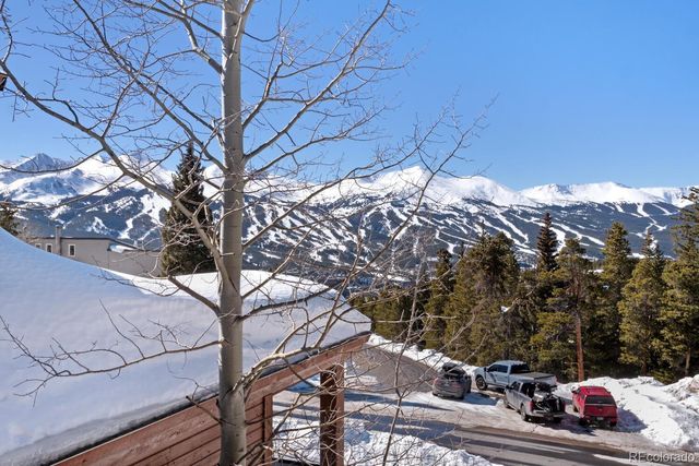 160 N Fuller Placer Road, Breckenridge, CO 80424