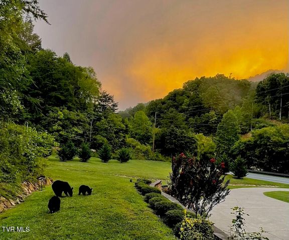 2823 Van Hill Road, Greeneville, TN 37745