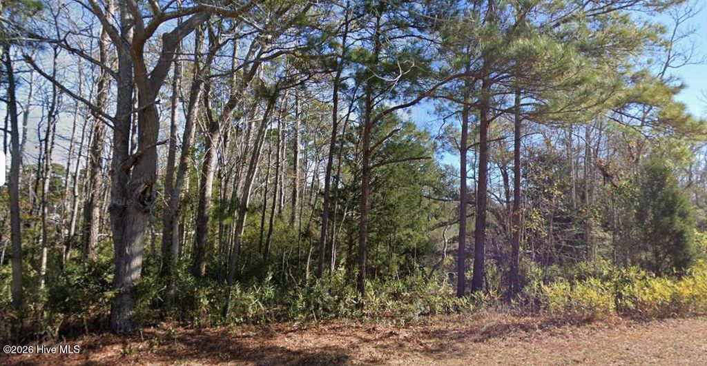 1616 Star Cross Drive SW, Shallotte, NC 28470
