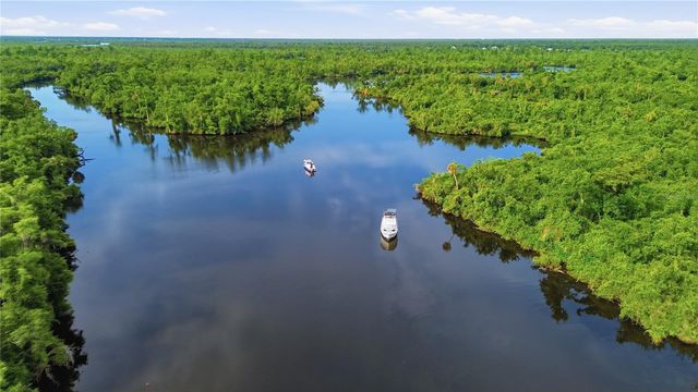 10162 SW LETTUCE LAKE AVENUE, Arcadia, FL 34269
