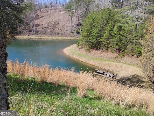 1539 Chopped Oak Road, Ellijay, GA 30540