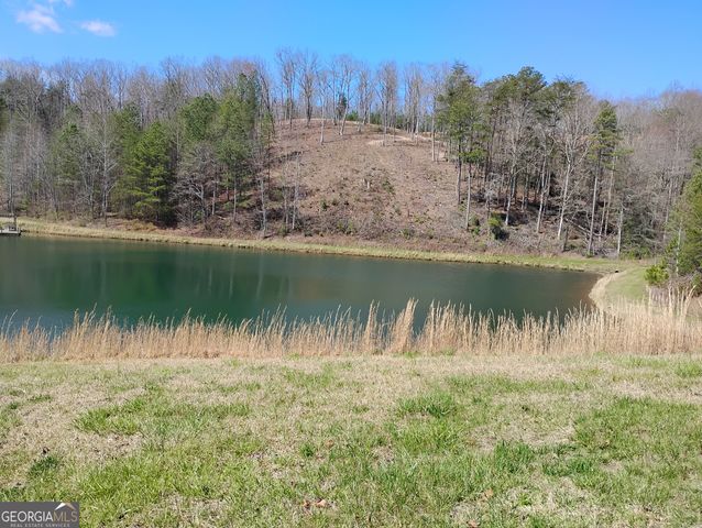 1539 Chopped Oak Road, Ellijay, GA 30540