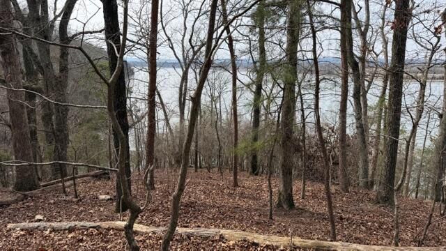 0 Pearson Road Tract 2, Harrison, TN 37341