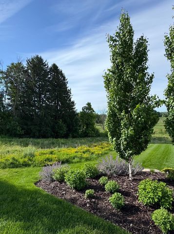 101 Spring Farm Road, North Oaks, MN 55127