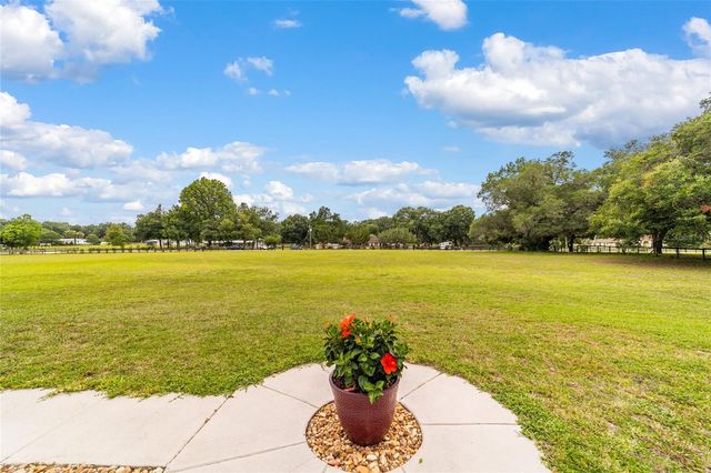 435 NE 155TH STREET ROAD, Citra, FL 32113