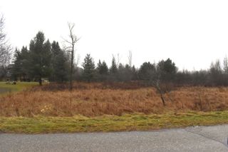 Lot 140 Winchester Way, Gladwin, MI 48624