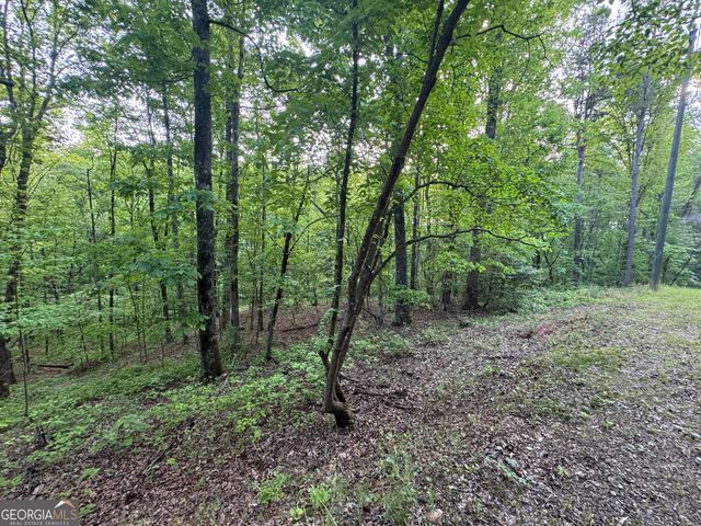 1 Holley Heights, Jasper, GA 30143