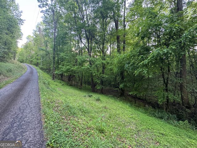 1 Holley Heights, Jasper, GA 30143