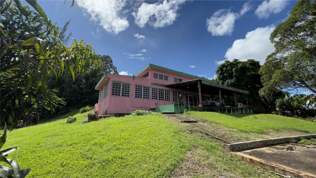 960 km 3.2 LOT A BO. GUZMAN ARRIBA, Rio Grande, PR 00745