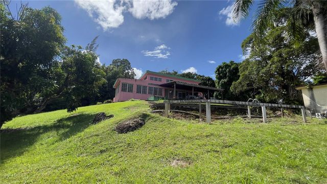 960 km 3.2 LOT A BO. GUZMAN ARRIBA, Rio Grande, PR 00745