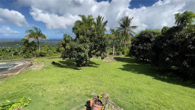 960 km 3.2 LOT A BO. GUZMAN ARRIBA, Rio Grande, PR 00745