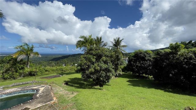 960 km 3.2 LOT A BO. GUZMAN ARRIBA, Rio Grande, PR 00745