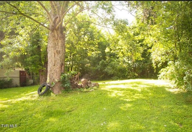 2625 Louise Street, Johnson City, TN 37601