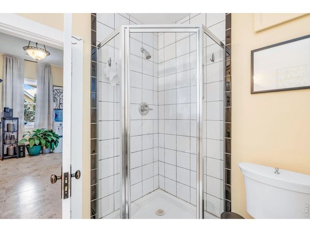 745 Jackson Ct, Windsor, CO 80550