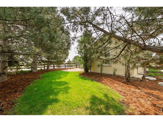 745 Jackson Ct, Windsor, CO 80550