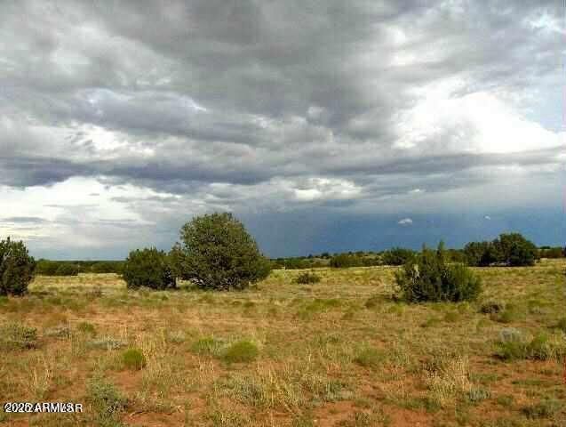 6322 Dry Pasture Run 298, Heber, AZ 85928