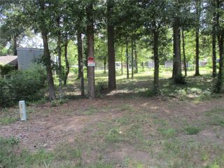 TBD Chatham Trail, Livingston, TX 77351