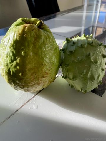 14302 Sandown, Poway, CA 92064