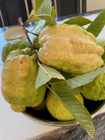 14302 Sandown, Poway, CA 92064