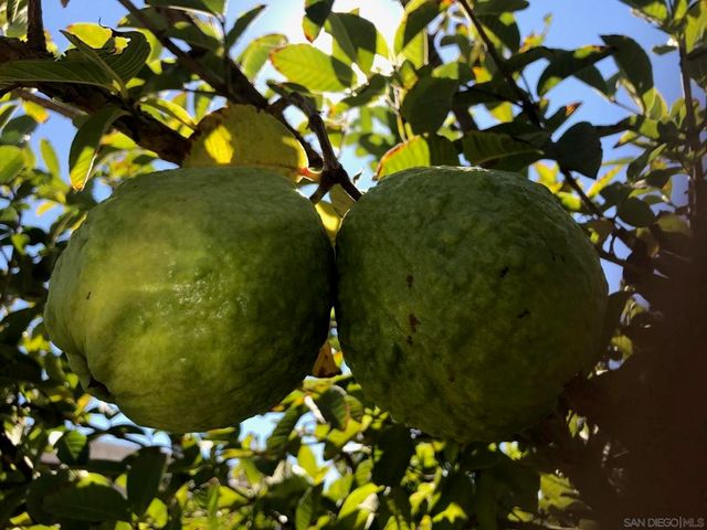 14302 Sandown, Poway, CA 92064