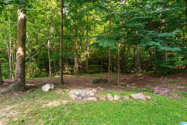 325 MIDDLE RIDGE DRIVE, Springville, AL 35146