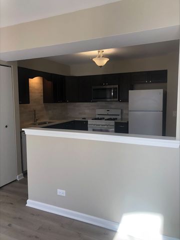2343 County Farm Lane, Schaumburg, IL 60194