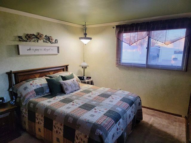 224 DOROTHY DRIVE, Manawa, WI 54949