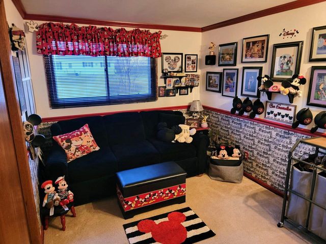 224 DOROTHY DRIVE, Manawa, WI 54949