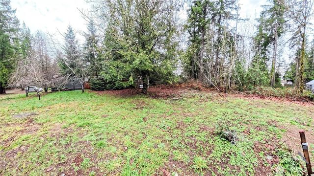 51 E Skyline Drive, Shelton, WA 98584