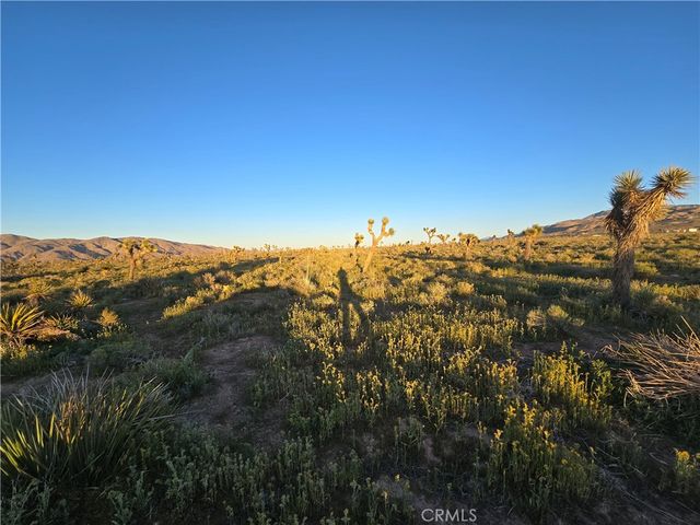 55 Japatul Road, Apple Valley, CA 92308