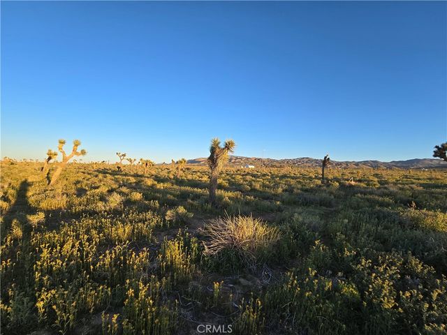 55 Japatul Road, Apple Valley, CA 92308