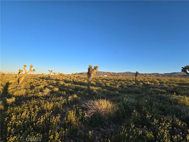 55 Japatul Road, Apple Valley, CA 92308