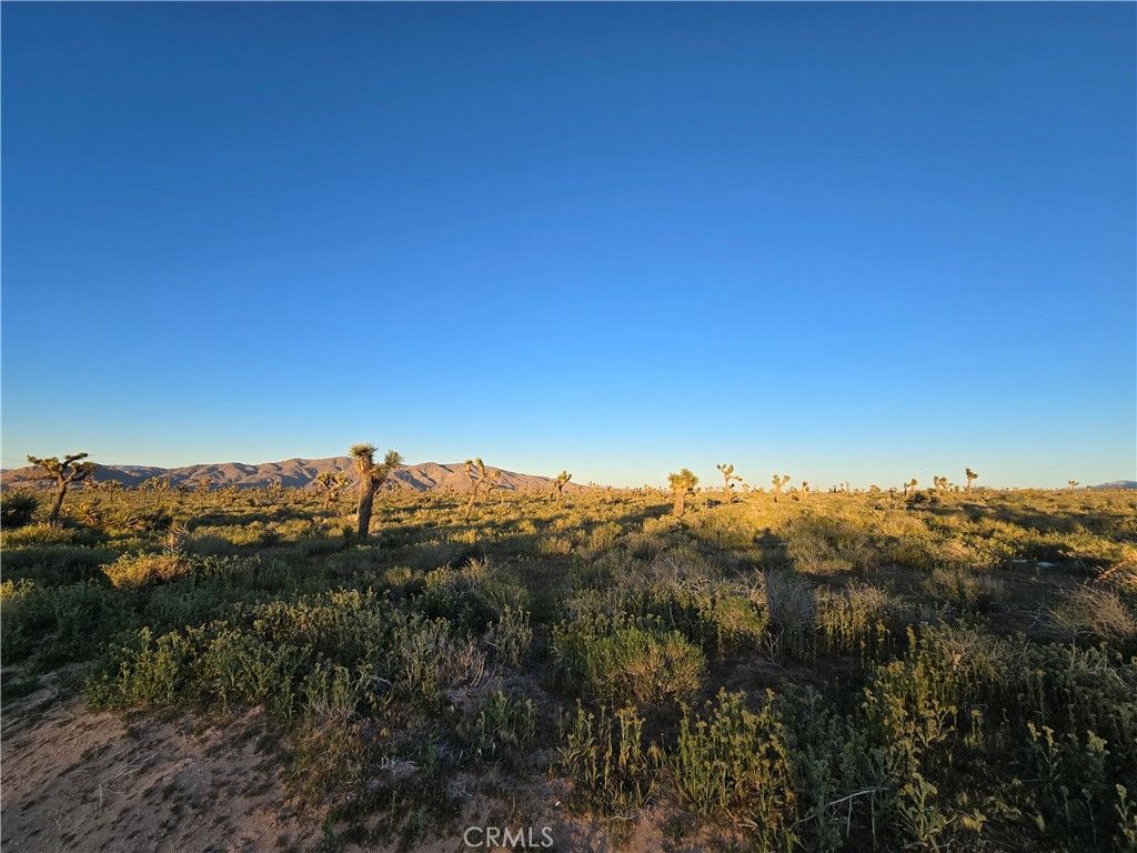 55 Japatul Road, Apple Valley, CA 92308