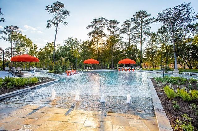 221 Silver Sage Court, Conroe, TX 77304